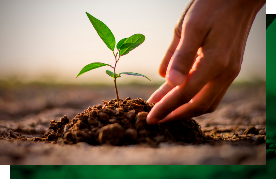 EMPRESA AMIGA DO MEIO AMBIENTE​